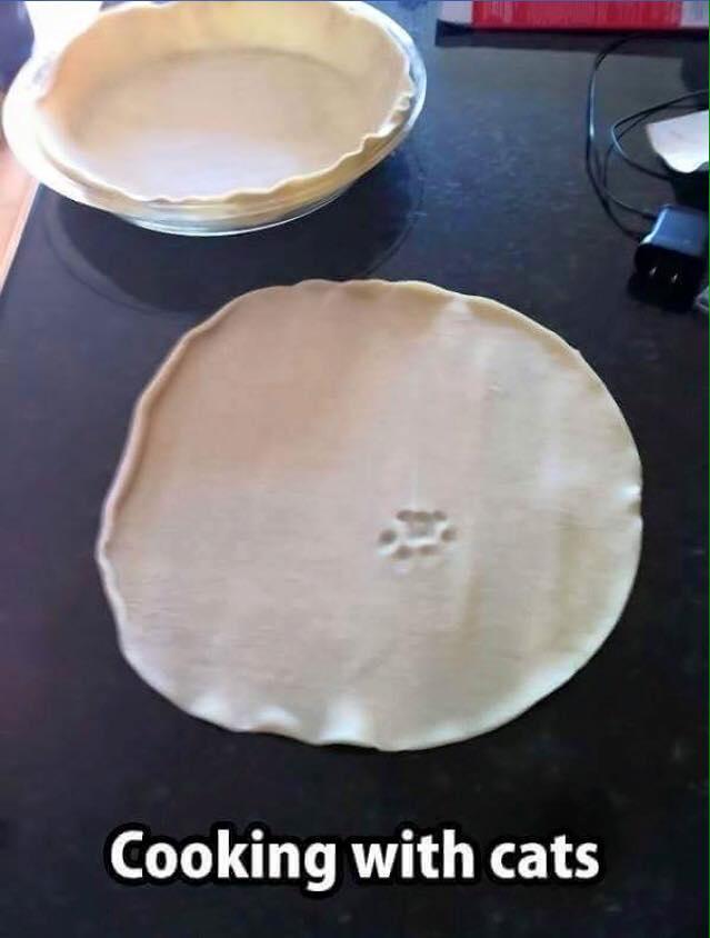 Foto Divertente: Pasta della pizza con impronta del gatto