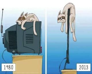 Foto Divertente: Gatto sul televisore nel 1980 e oggi