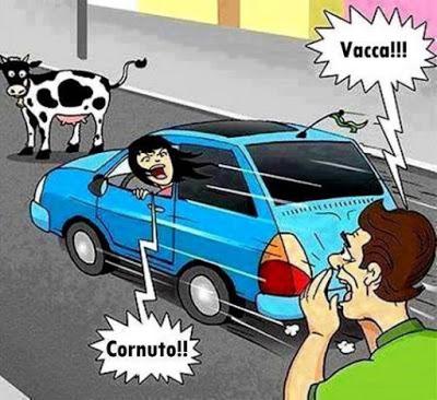 Foto Divertente: Donna in auto con una vacca davanti ed un uomo che l'avverte