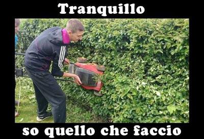 Uomo che taglia la siepe con il taglia erba 