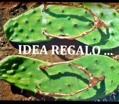 Foto Divertente: Ciabatte infradito a forma di cactus