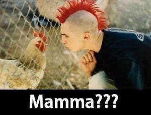 Foto Divertente: Ragazzo con cresta rossa che chiama mamma una gallina