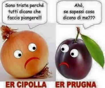 Foto Divertente: Cipolla e prugna che si confrontano