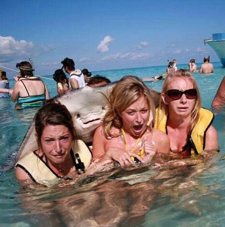 Foto Divertente: Donne in acqua con una razza che le abbraccia