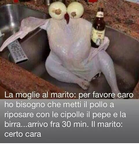 Foto Divertente: Pollo seduto nel lavello con birra e telecomando