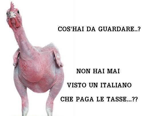 Pollo spennato che ricorda gli italiani