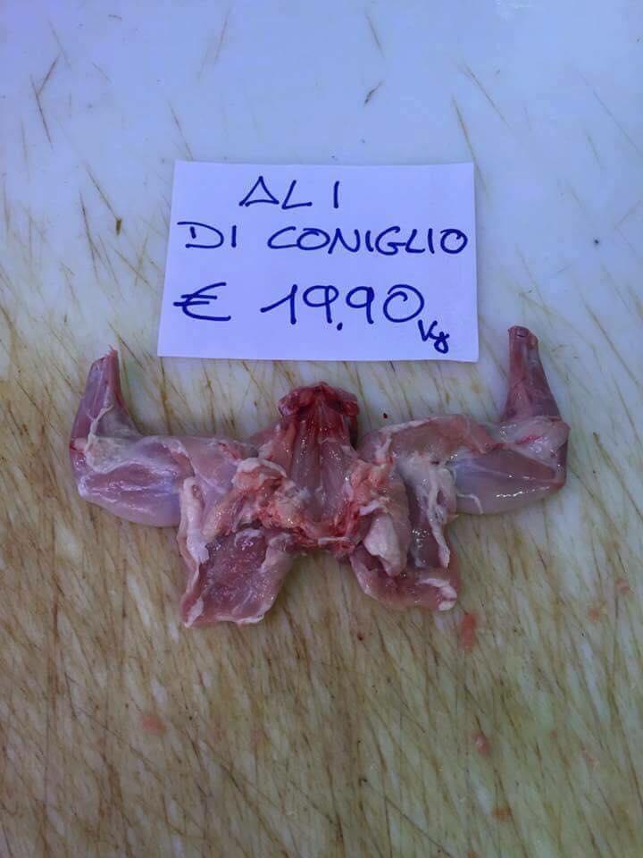 Prezzo delle ali di coniglio