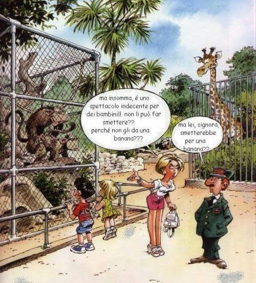 Foto Divertente: Allo zoo due animali fanno sesso, una madre chiede che smettano