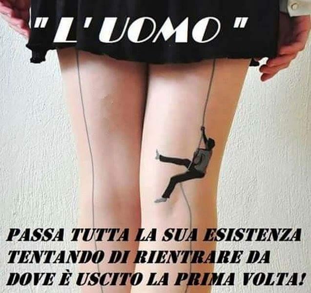 Foto Divertente: L'uomo vuole rientrare da dove è uscito