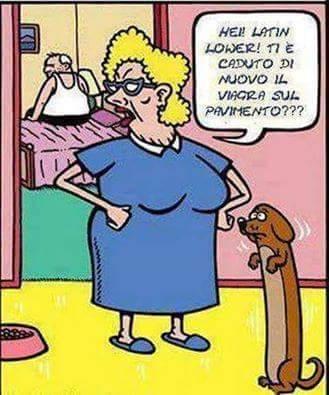 Foto Divertente: Cane che ha mangiato il viagra lasciato a terra dal padrone