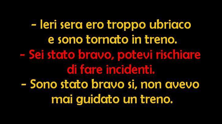 Troppo ubriaco torna a casa in treno