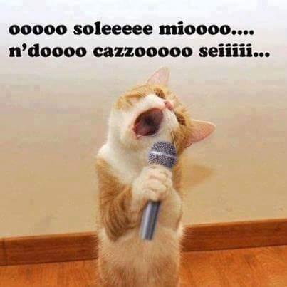 Foto Divertente: Gatto che canta "O sole mio"