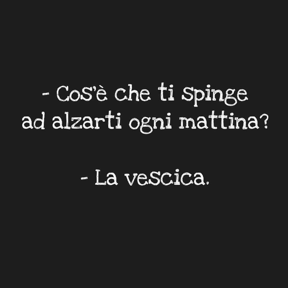 Foto Divertente: La vescica ti spinge ad alzarti la mattina