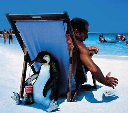 Pinguino al mare