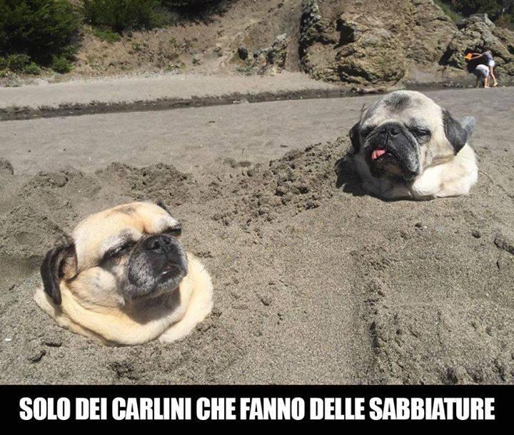 Carlini che fanno le sabbiature