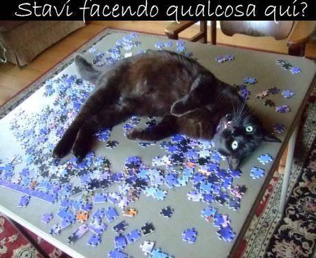 Foto Divertente: Gatto che distrugge un puzzle