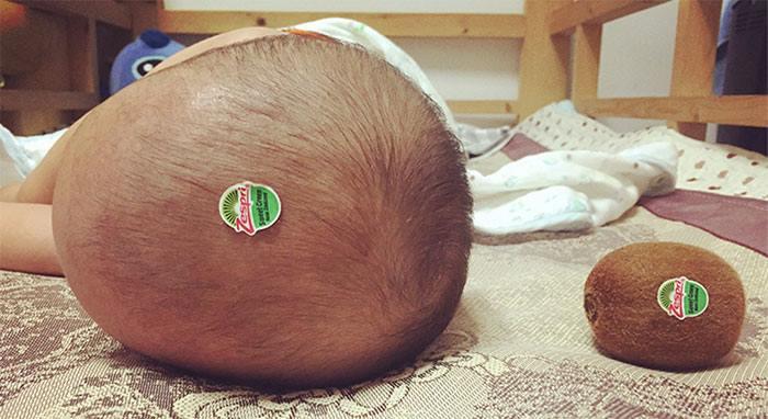 Foto Divertente: Testa di un bambino con il bollino del kiwi