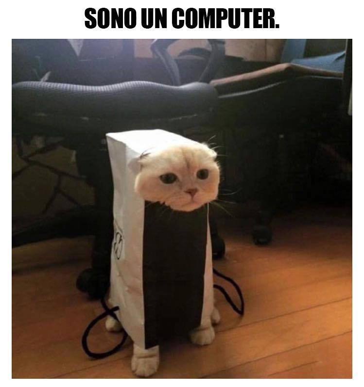 Foto Divertente: Gatto incastrato nel case del pc