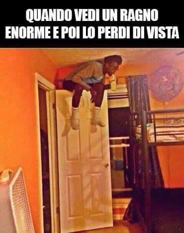Ragazzo seduto in cima alla porta per paura del ragno