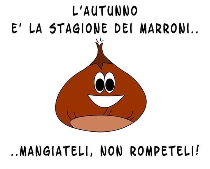 Castagna con scritto che i marroni si mangiano e non si rompono