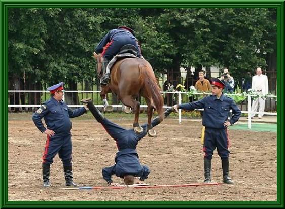 Foto Divertente: Cavallo che salta l'asta umana
