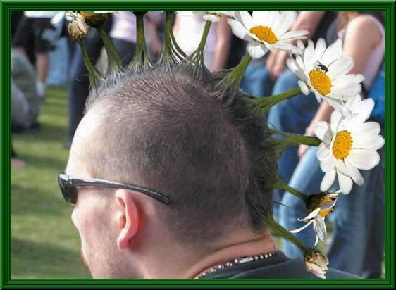 Foto Divertente: Capelli con cresta e margherite