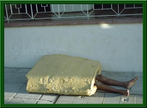 Foto Divertente: Ragazzo avvolto nel pane