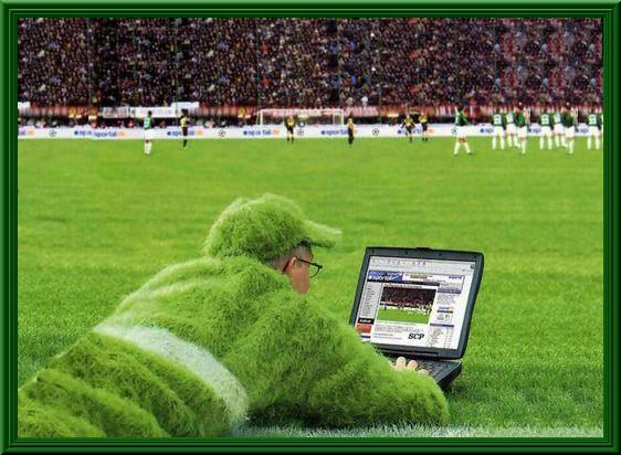 Foto Divertente: Uomo che si mimetizza con l'erba del campo da gioco