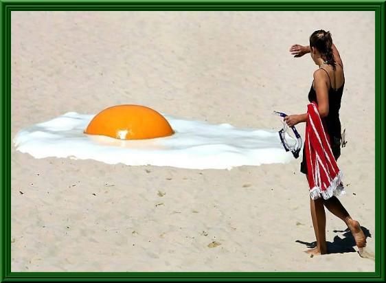 Foto Divertente: Uovo al tegamino sulla spiaggia