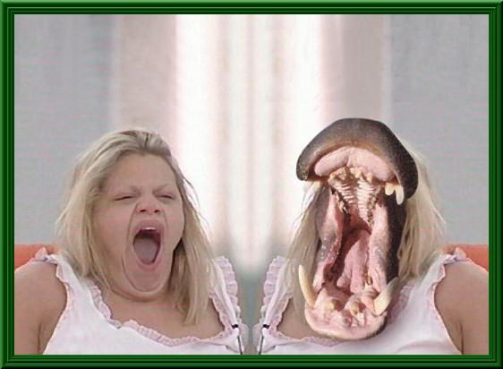 Foto Divertente: Ippopotamo e donna che sbadigliano