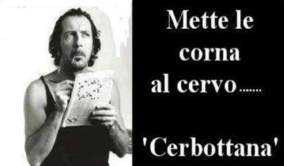 Foto Divertente: Fare le parole crociate