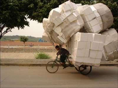 Foto Divertente: Carico in bicicletta