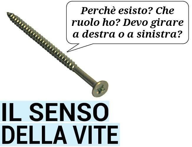 Foto Divertente: Una vite che parla della sua esistenza