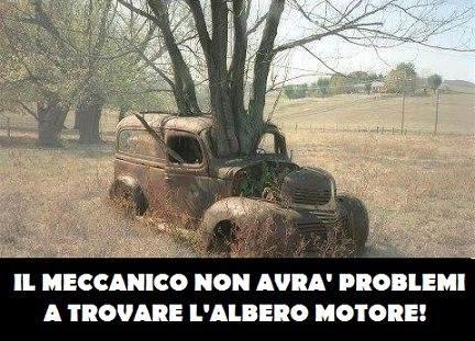 Albero nel centro di una macchina