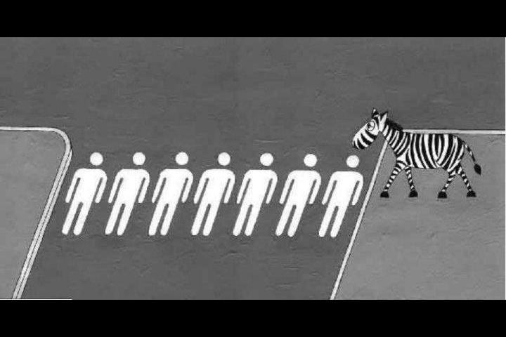 Foto Divertente: Zebra che attraversa la strada