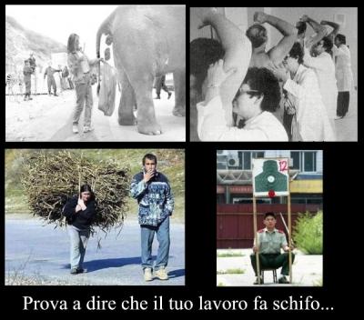 Foto Divertente: Vari tipi di lavoro...