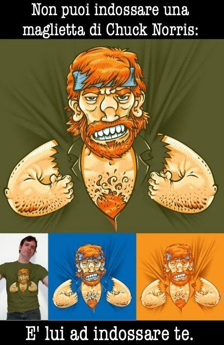 Foto Divertente: Maglietta di Chuck Norris