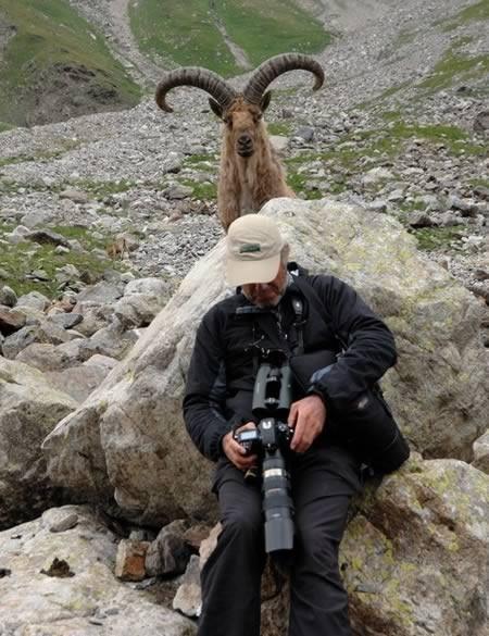 Foto Divertente: Capra delle alpi dietro ad un fotografo