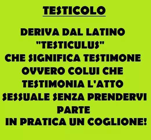 Foto Divertente: Definizione di testicolo