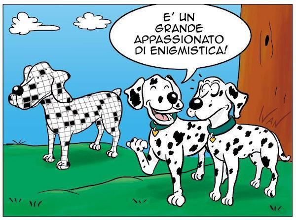 Foto Divertente: Un dalmata con cruciverba al posto delle macchie