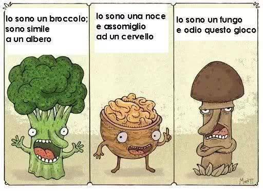 Foto Divertente: Somiglianze di un broccolo, noce e fungo  