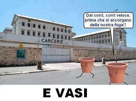 Foto Divertente: Due vasi che scappano dal carcere