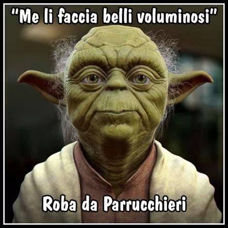 Foto Divertente: Quando chiedi al parrucchiere capelli voluminosi