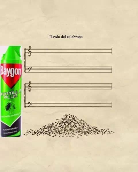 Baygon e il volo del calabrone