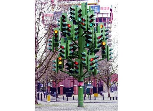 Foto Divertente: Albero di semafori 