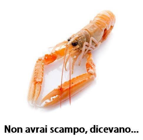 Foto Divertente: Non avere scampo