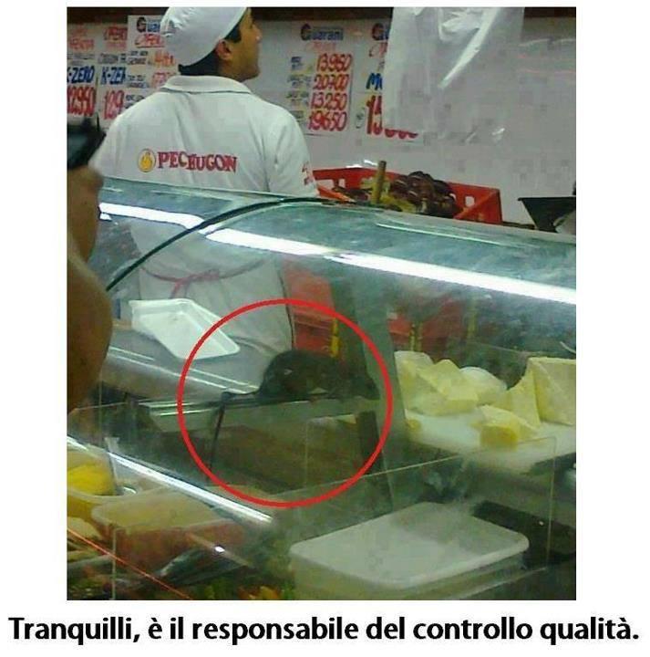 Foto Divertente: Topo nel banco degli alimenti di un supermercato