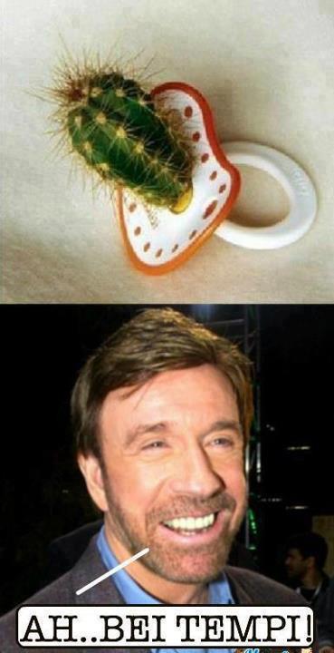 Foto Divertente: Il ciuccio di Chuck Norris
