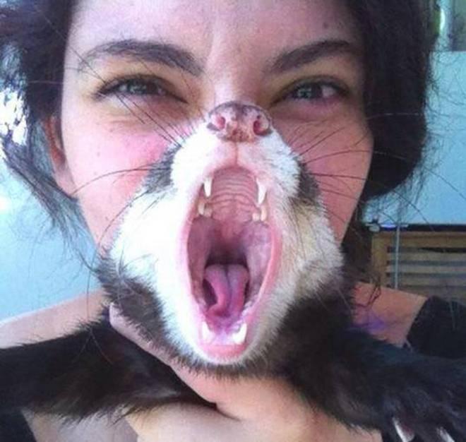 Foto Divertente: Donna con muso di gatto davanti alla bocca