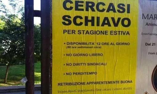 Foto Divertente: Cercasi schiavo per mesi estivi
